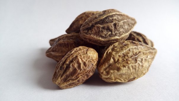 Free Haritaki Herbs photo and picture