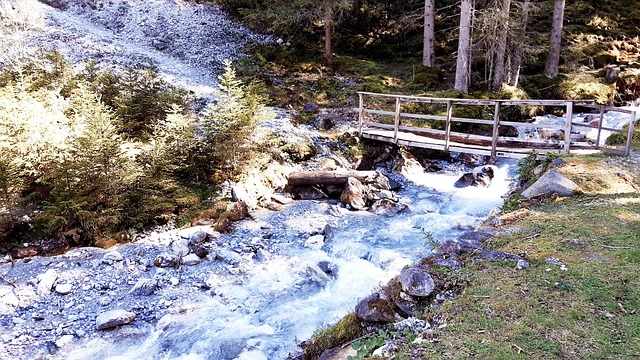Free Bridge Bach photo and picture