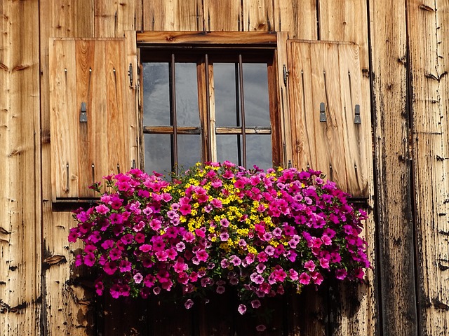 Free Wood Window photo and picture