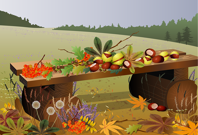 Free acorns chestnut rowan vector