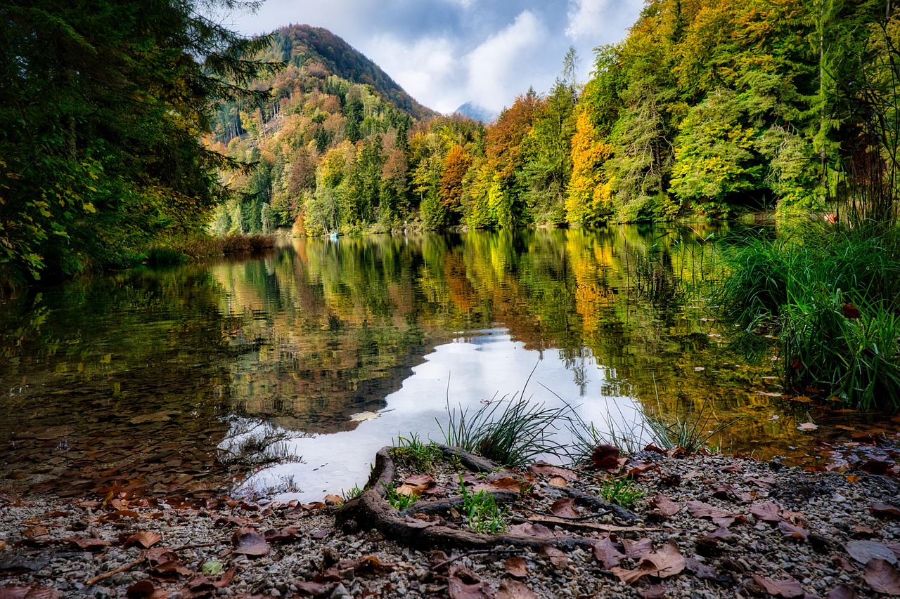 Lake - free online jigsaw puzzle photo