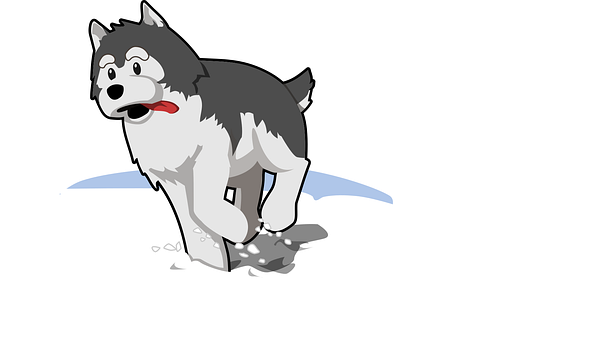 Husky, Pes, Karikatúra, Psie, Kresba