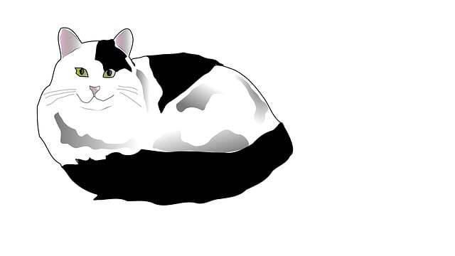Free cat feline animal vector