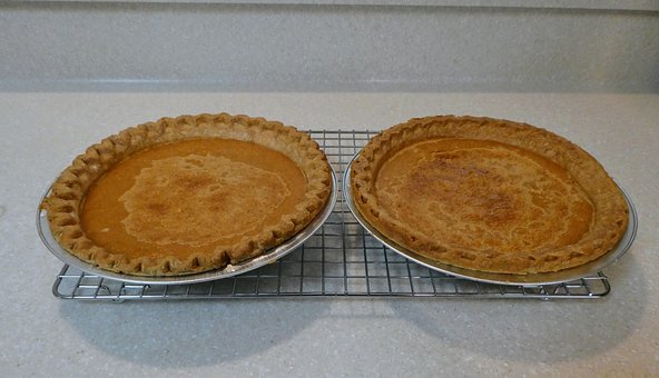 Free Pie Pumpkin photo and picture