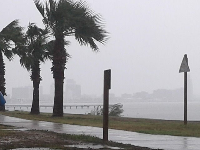 Free Hurricane Harvey Rain photo and picture