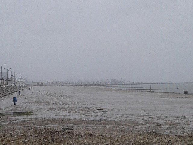 Free Rain Beach photo and picture