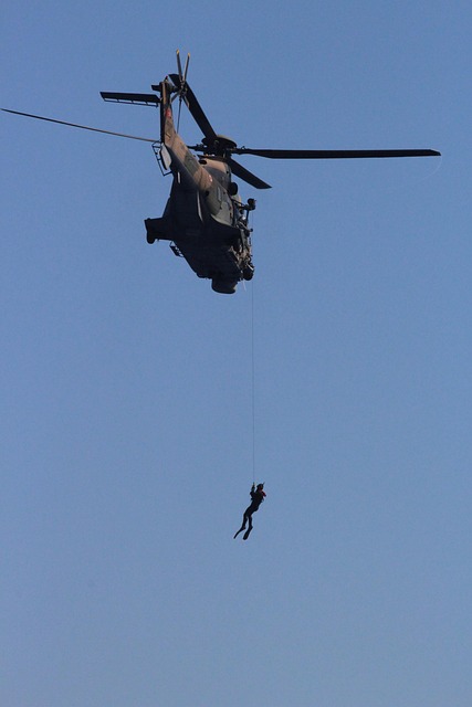 Free Soldier Drill photo and picture