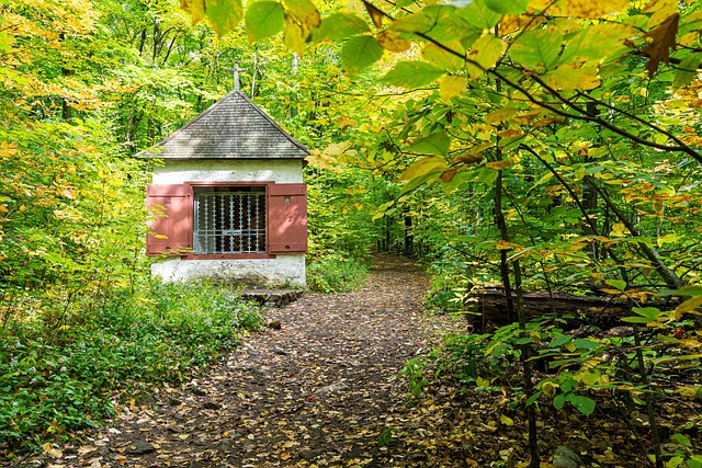 Free Old Building photo and picture