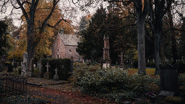 Free Fall Graveyard photo and picture