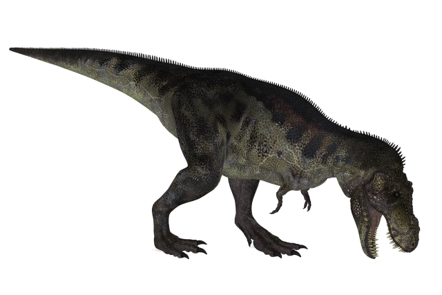 恐竜 ティラノサウルス 動物 Pixabayの無料画像