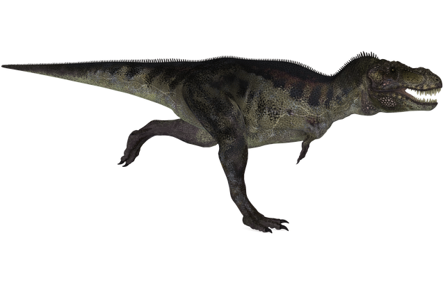 Dinosaurier, Tyrannosaurus, Tier, Reptil