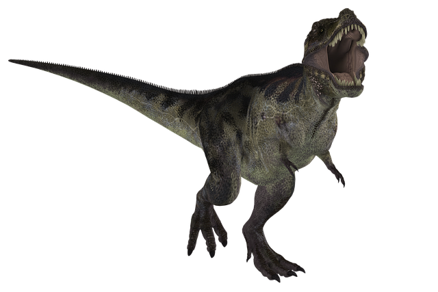 Dinosaurier, Tyrannosaurus, Tier, Reptil