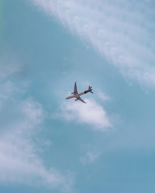 Avião, Ciano, Céu, Vôo, Azul, Índigo