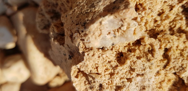 Free Nature Soil illustration and picture