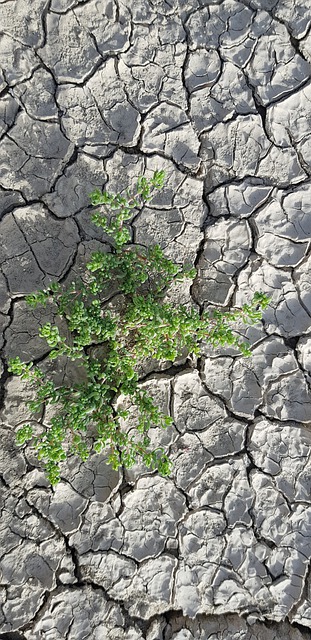 Free Nature Soil illustration and picture