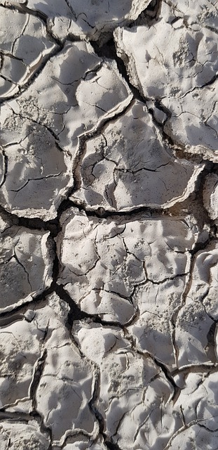Free Nature Soil illustration and picture
