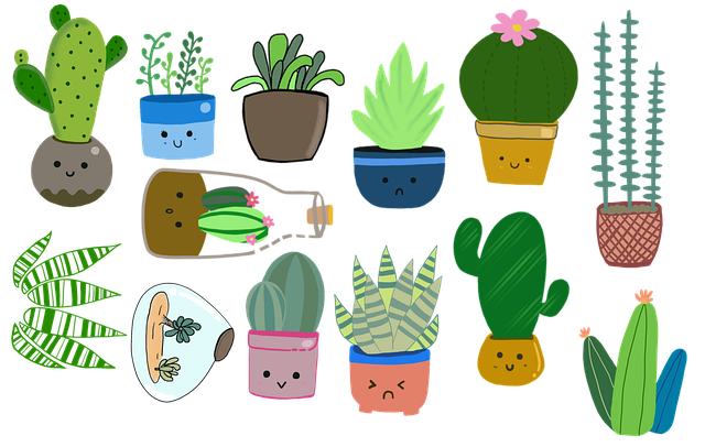 Free plants cacti succulents illustration