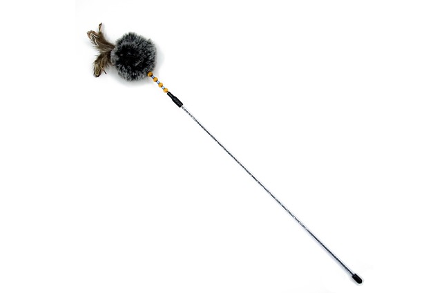 Cat Toy, Fjer, Bold, Lodne, Pind