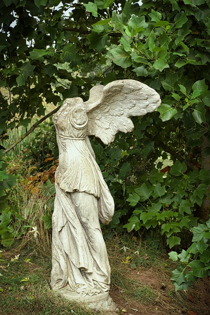 Free Angel Park photo and picture