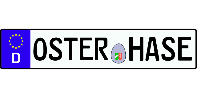 Kennzeichen, Osterhase, Autoschild, Kfz