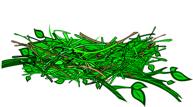 Nest, Zweige, Ostern