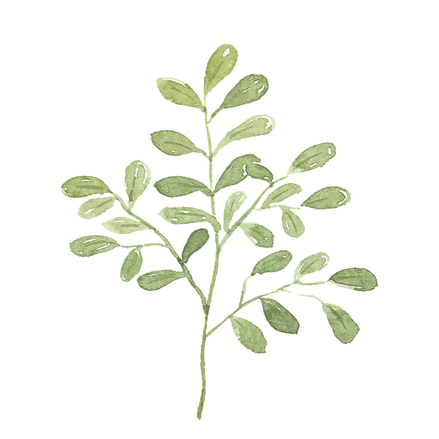 Free leaves plant watercolor illustration