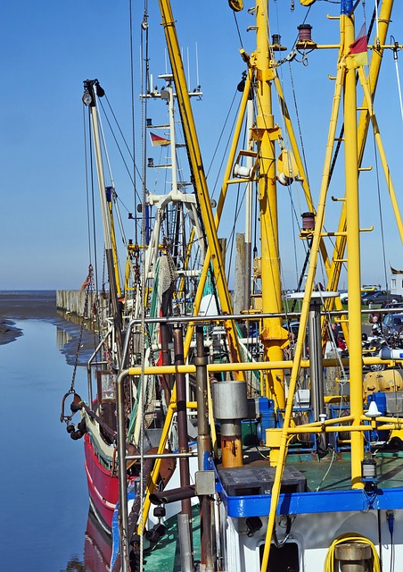 Free Crab Cutter Masts photo and picture