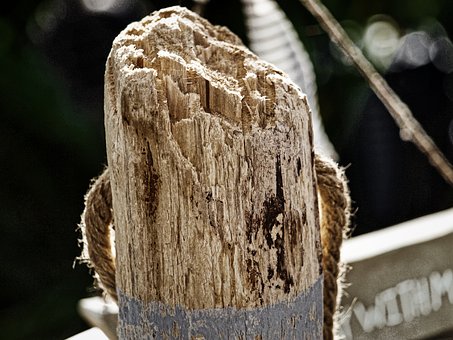 Free Wood Weathered photo and picture