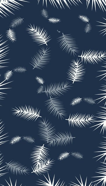 Free Feathers Design illustration and picture