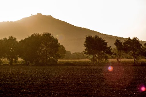 Free Sunny Nature photo and picture