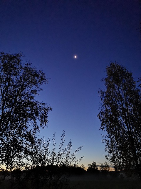 Free Dawn Starry Sky photo and picture