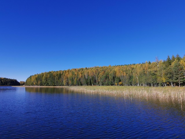 Free Swedish Autumn photo and picture