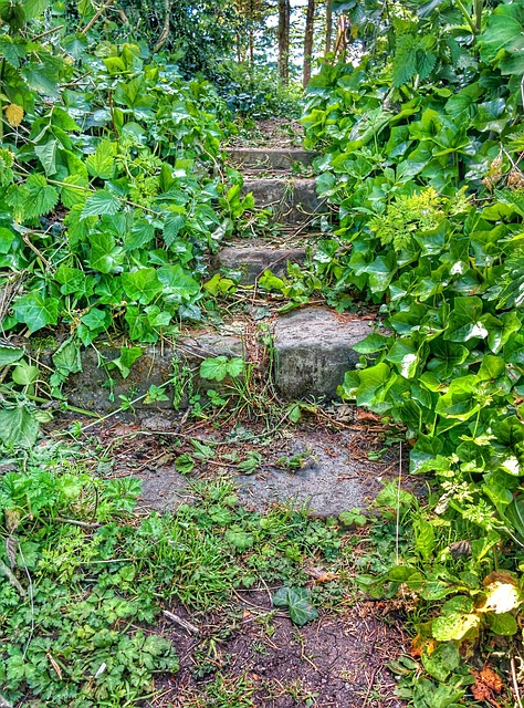 Pasos, Invadido, Lodo, Roca, Verde