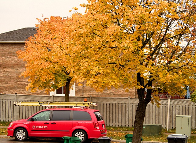 Free Rogers Ontario photo and picture