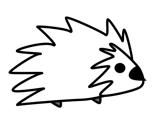 Free hedgehog porcupine quil illustration