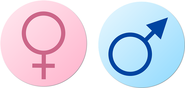 60 Gender Diversity Pixabay 60-gender-diversity-pixabay