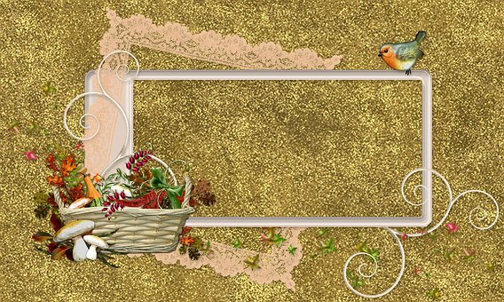 Free Fall Border photo and picture
