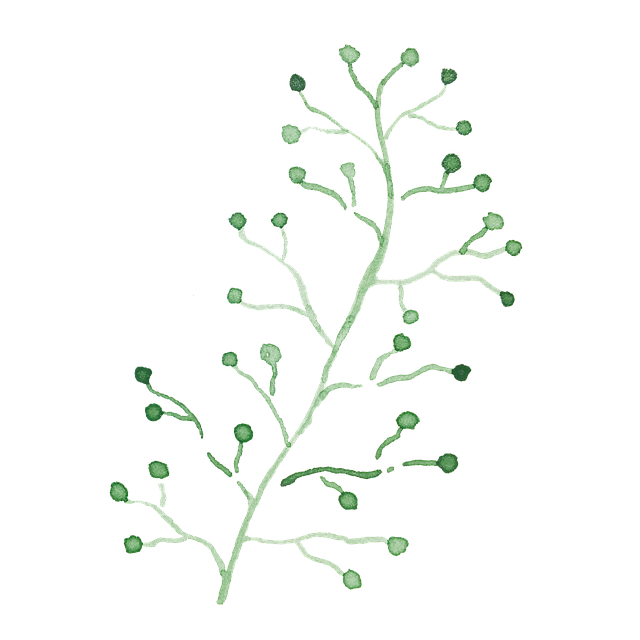 Free leaves twig watercolor illustration