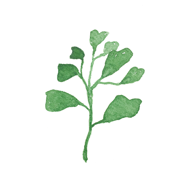 Free leaves twig watercolor illustration