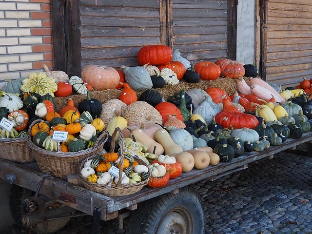 Herbst, Oktober, Kürbisse, Ernährung
