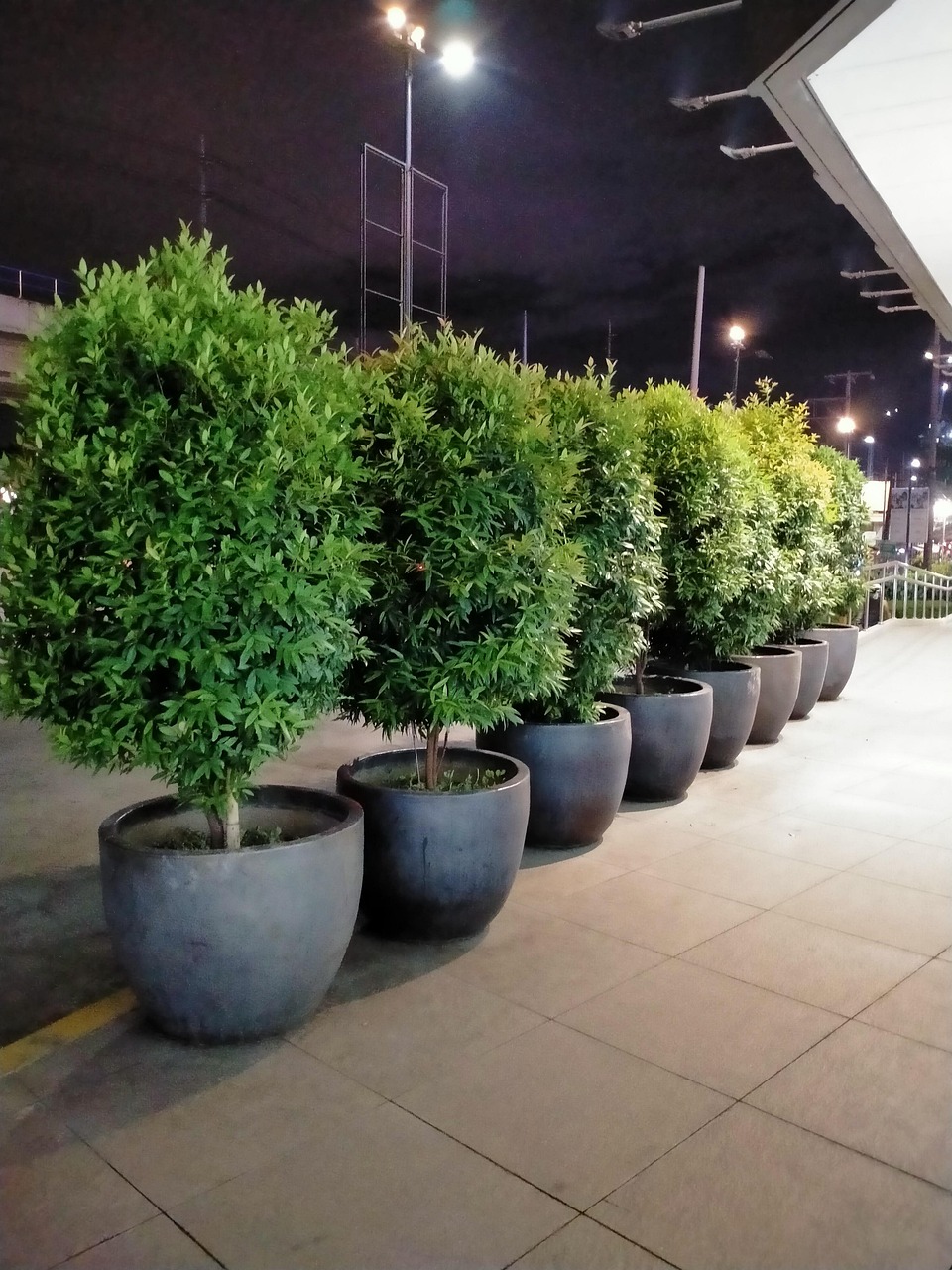 Clay Pots Landscape Green Free photo