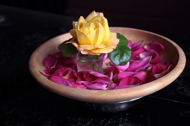 Free Pink Flower photo and picture