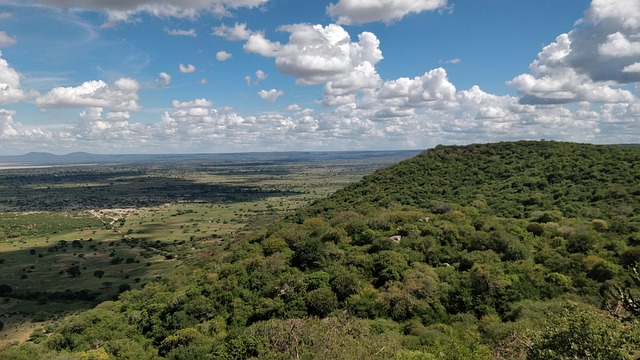 Afrika, Tansania, Landschaft, Freiheit
