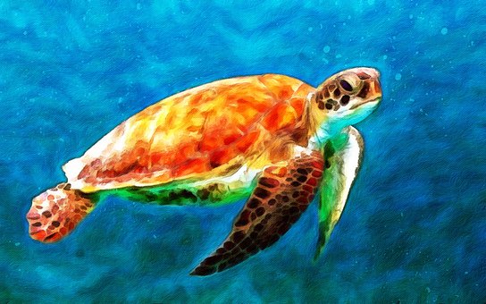 Free Turtle Oil Pain illustration and picture