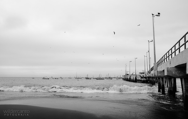 Free Piura Muelle photo and picture