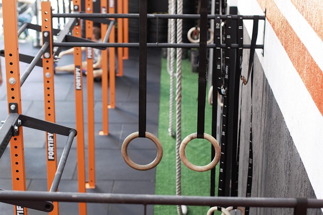 Ringen, Crossfit, Sportschool