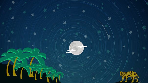Free Design Moon photo and picture
