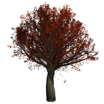 Free Tree Leaves illustration and picture