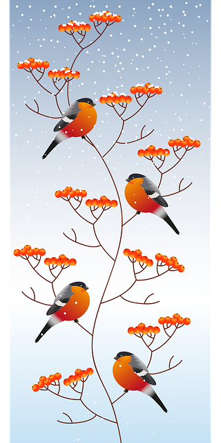 Free bullfinch birds rowan berries illustration