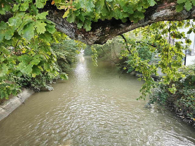 Flujo, Elba, Agua